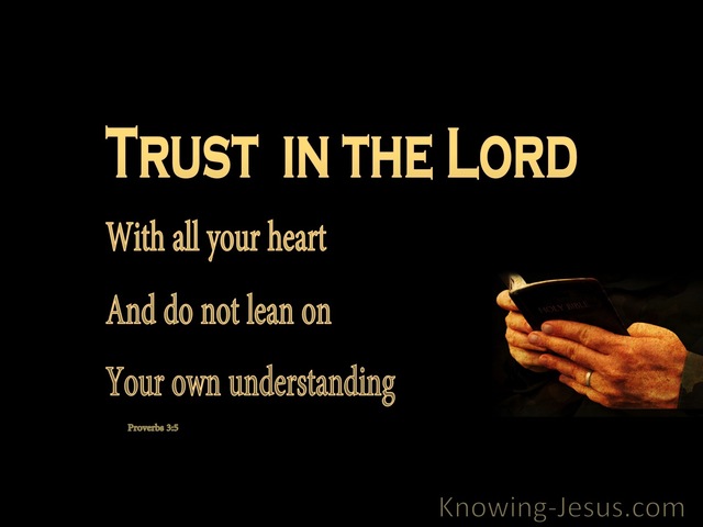 Proverbs 3:5 Trust In The Lord (gold)